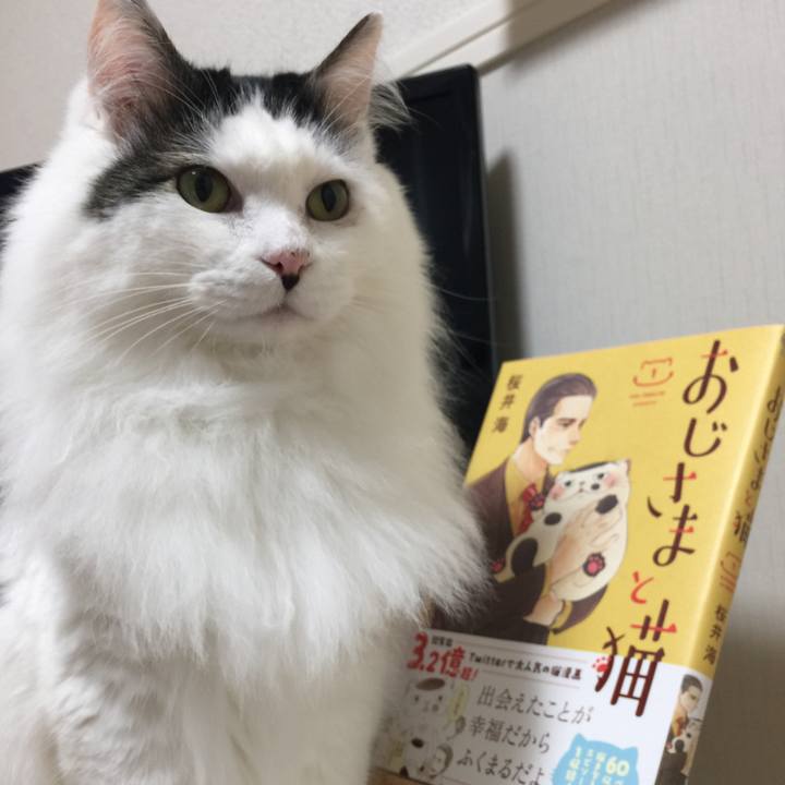 1451afcd 0b05 4d7d 817b 98de0315e37d 1519309991718