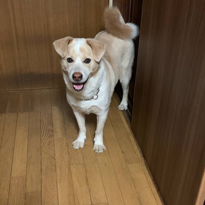 14520139 6c96 49f3 a178 18797825f352 1561471142224