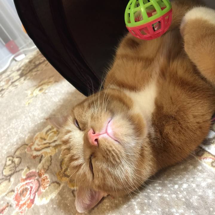 145201fa 6a2a 483e 9127 22174bec51e3 1512303004766