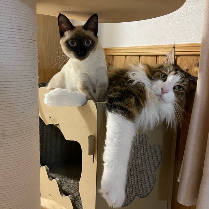 14527bb4 004f 4f95 ab12 b6b8fe8fc6a3 1701285652240