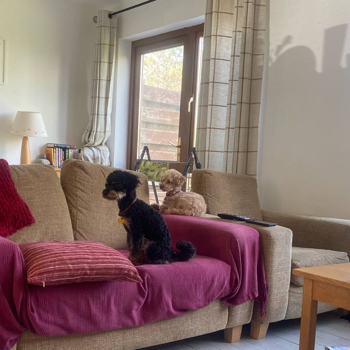 1452e741 dddf 4f0f b371 62264cd297a2 1594546104409