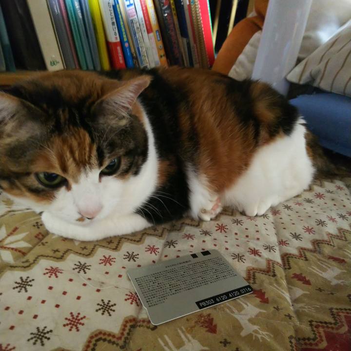 1452ed9c 08cb 4d00 b47d c38b2780560e 1525585957937