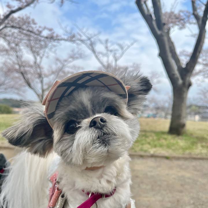 1452f835 82c7 4ce3 b403 c66a2429ab6a 1648641474972