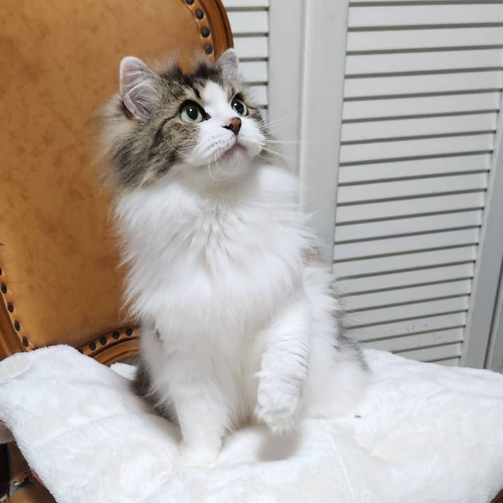 145307c6 032f 47cd ad40 5822633bf5f0 1745451139892