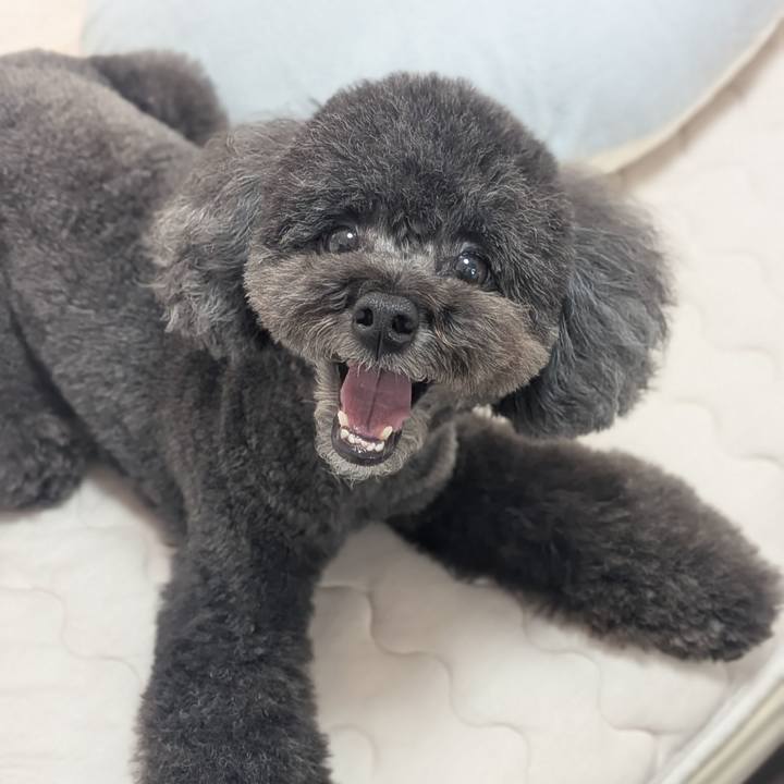 145307d7 a6bf 474e 9f1f 71511f6577ee 1759132674212