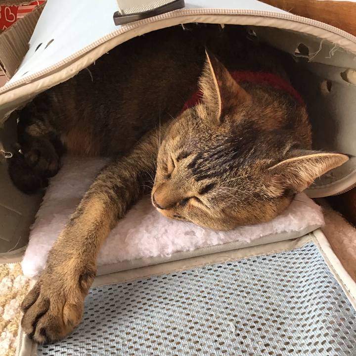 14530ade f1c9 462e a139 593994f8dfc4 1602562165823