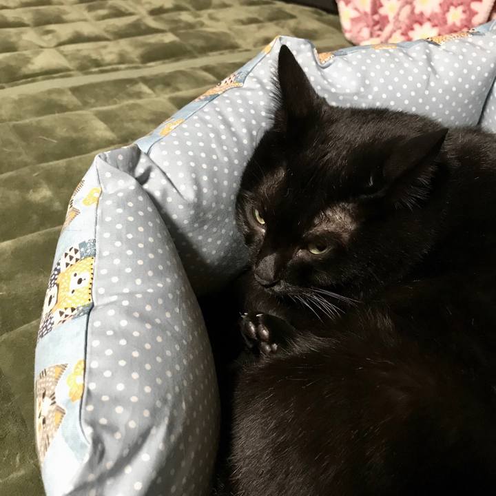 145314f0 571a 4132 8d3e 3bc434cde52f 1509274338259