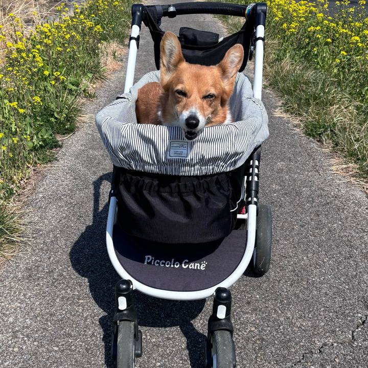 14531db9 df7d 4921 b78c 48f24f9a3845 1742614192266