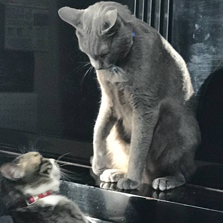 14532b4e 202e 4de4 9428 c15e21bc9236 1518564206899