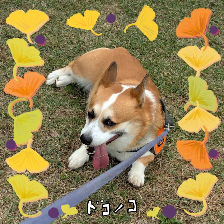 14534cca 0e67 4b61 a9b0 f8a83a704316 1730943292200