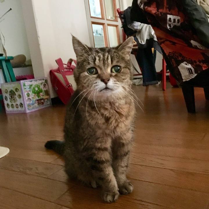 14535eaf a99c 490b 8992 3e49e739624e 1522278377543