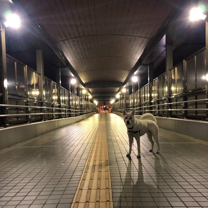 14537ecf e2a3 4177 9c6d 10b786bd5fad 1557070476965