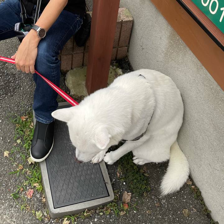 14538ef0 6239 49d9 83c0 5d53fb5f3aa6 1629533720174