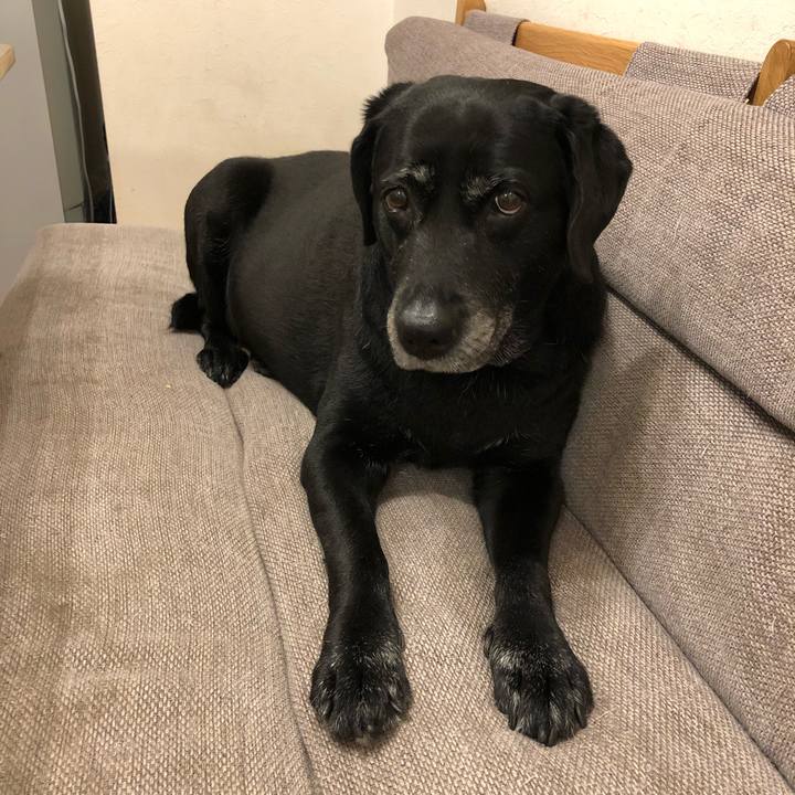 1453a7a7 0663 4d71 8e46 7b97c1e336bf 1594549821368