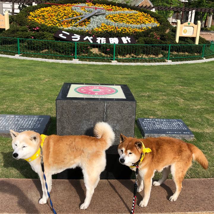 14540e99 88bb 47f9 901e 7dccc2378473 1558219911041