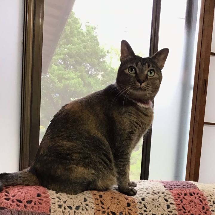 14542b3d 2cd8 4ccb 91a0 4c117fb35957 1717061717375