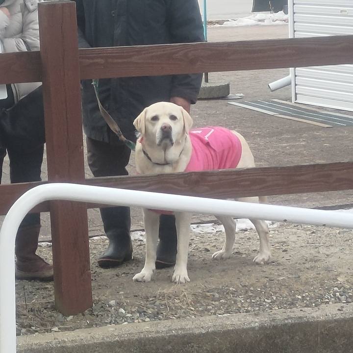 14544fa2 26fc 4695 b346 86a4b049cefc 1672809428553