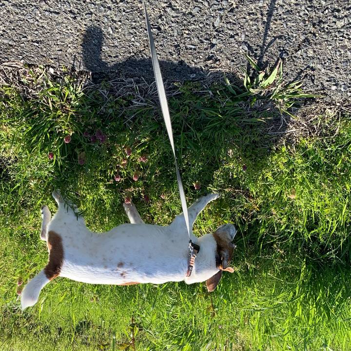 14547ff6 5518 4163 a89d dedd12582d2e 1618015664950