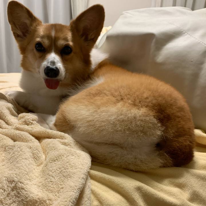 1454847e 29d0 426f 9009 17cb1a0ddbae 1588751573620