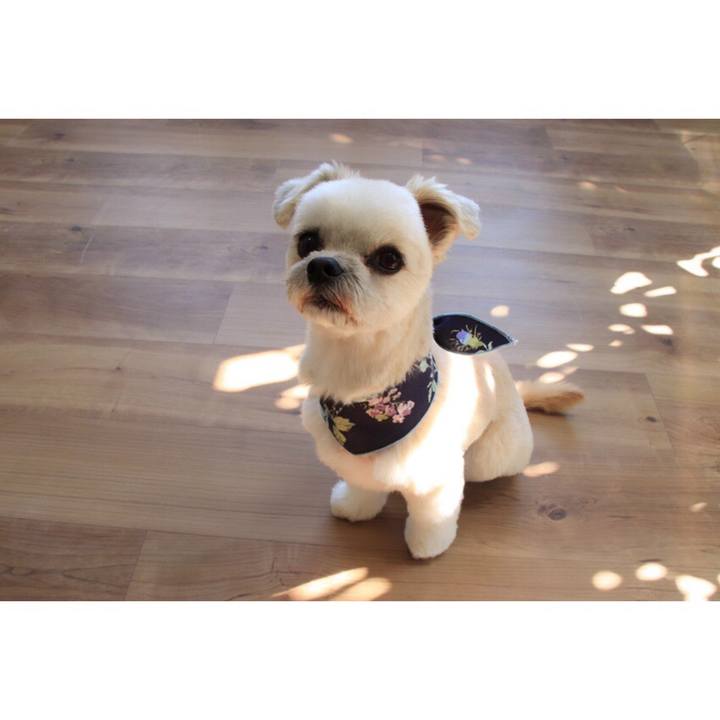 1454935f d677 48b6 9995 da110d24ca09 1552216396868