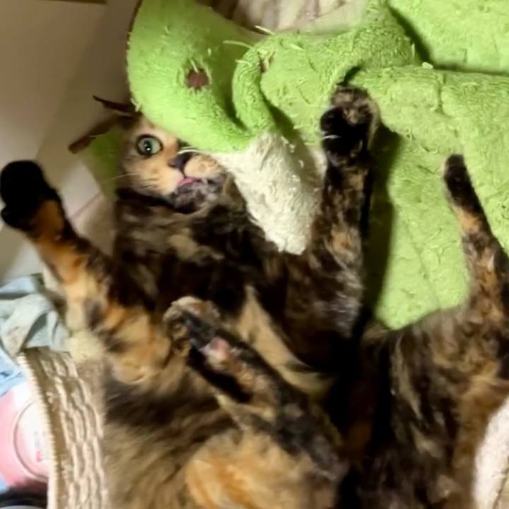 145497d0 367f 4a33 a9bb 7c2286ffb22b 1732615383358