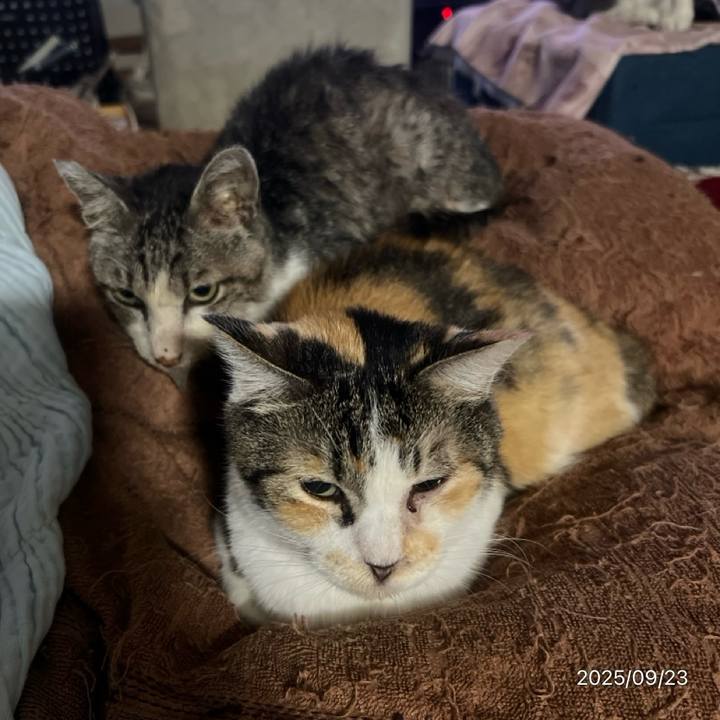 1454f0e1 e5b8 4f03 8984 8199595c668f 1758585232262