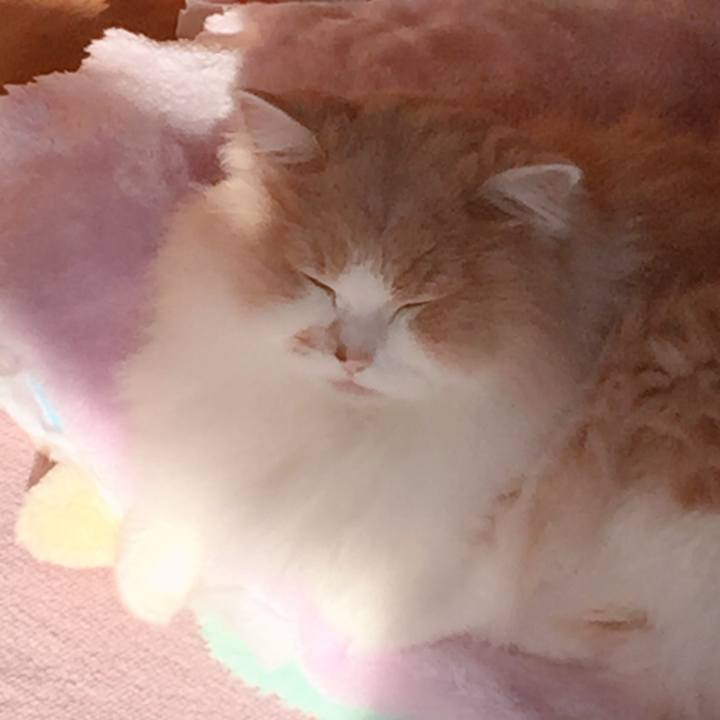 1454fbc9 b347 476b 8f92 57d1ad1b3f4e 1579952643499