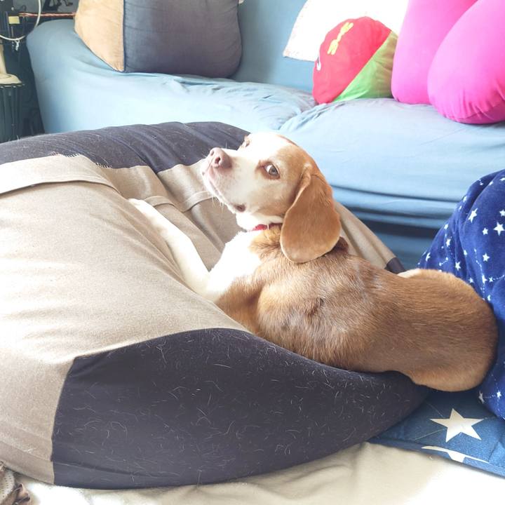 1455209f 0eec 40f2 8583 5b2dc8360673 1746081318248