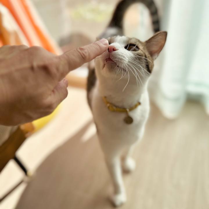 145524c9 515e 4cb3 832c 50898ae3ef91 1763264646894