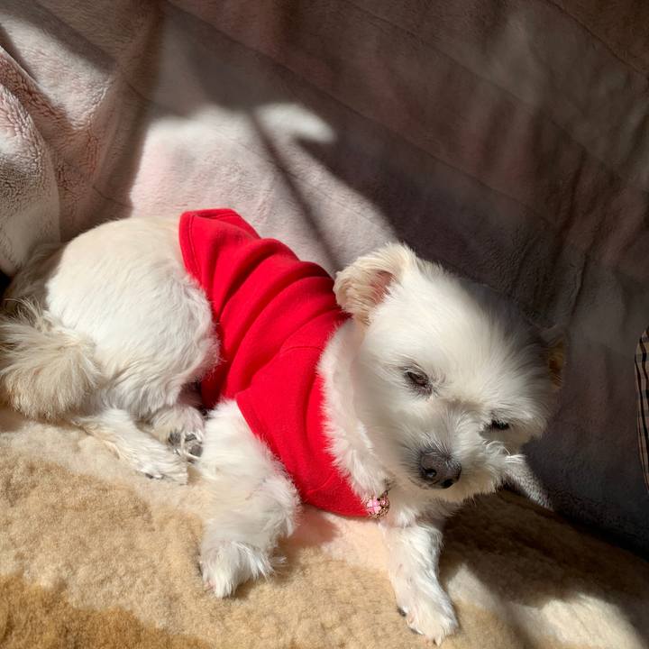 1455bc2f 78ca 4fab a914 555362846270 1638321451552