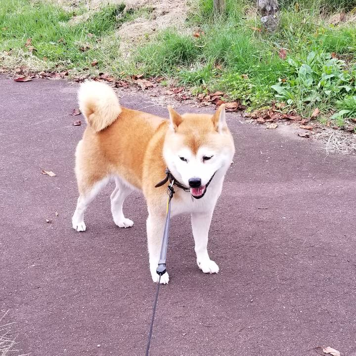 1455c3c5 c7be 4fb5 9ce1 8c800211d68e 1601793259765