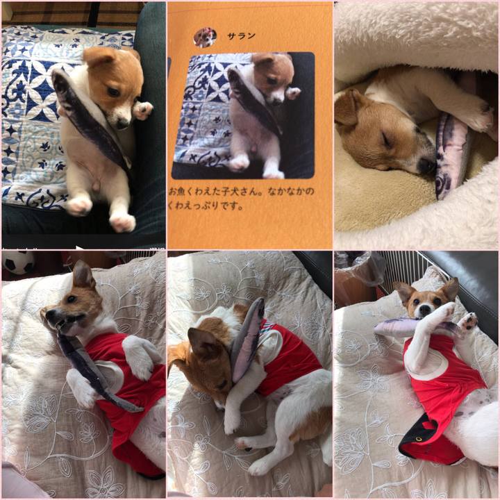 1455ea06 ad08 4b3c 948a 19fd42b56e2f 1556324578277