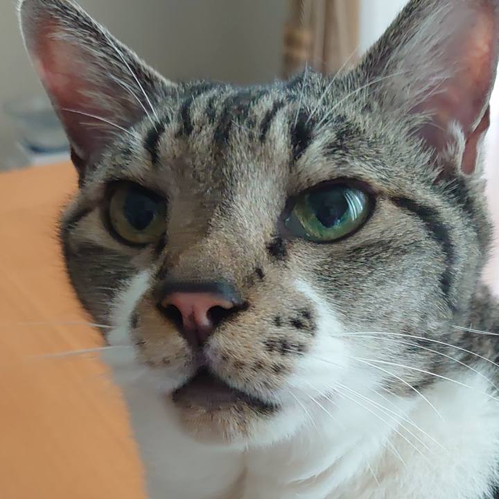 1456af5f 23f7 4ada 8be5 fda3f6c7bbe3 1696068173492