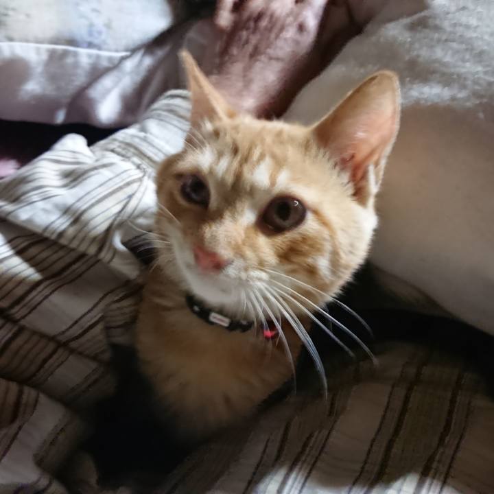 1456cbf6 9e3f 46ee 9904 77111296fa02 1634935191655