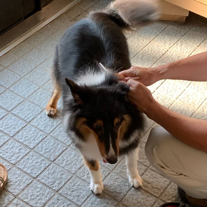 1456d4ff 6ae9 415b b647 783141e6c2ad 1600207576091