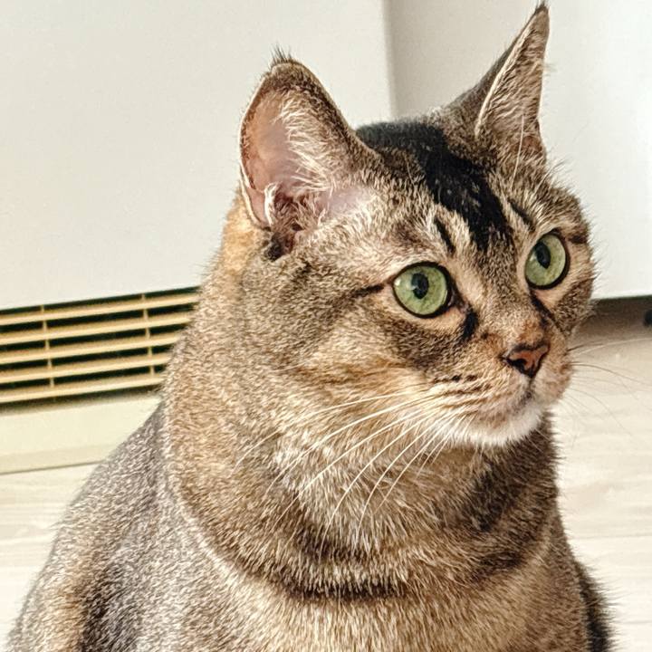 14570344 44e5 40cd a245 1e9c47eae583 1767971573861