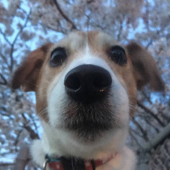 145706e7 eb7a 4f41 95fe 882c55d14f62 1522681995250