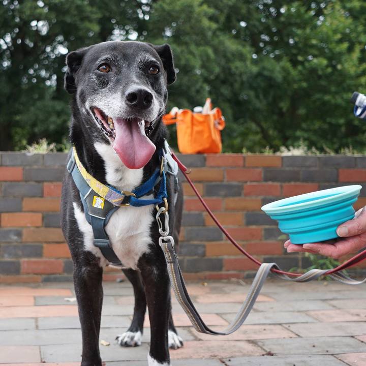 14571795 d613 4bf5 b083 05b953279055 1757980614810