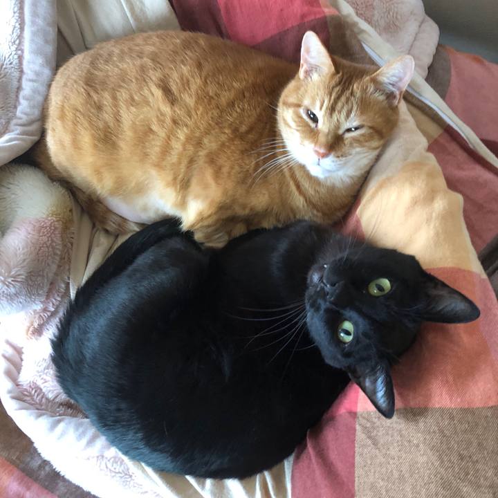 14572917 bc32 4c73 95a4 aa6ec9857c4f 1713569214060