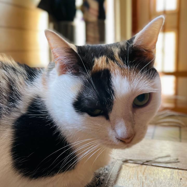 145731fd f465 4a0e a4ad 4ac724d55b70 1659146034710