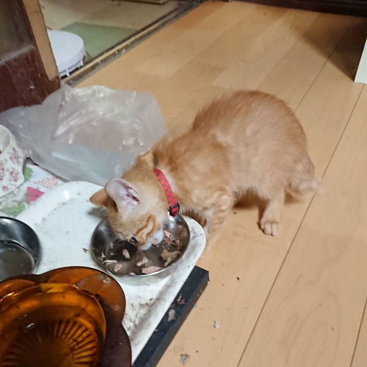 1457427b 9e23 4fa9 8865 1daeb8f0ac6a 1628510394794