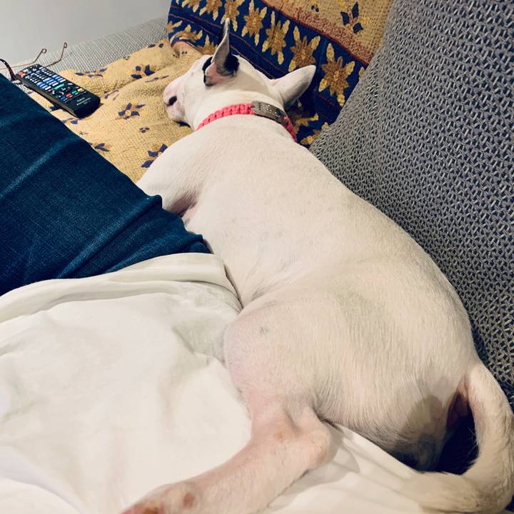 1457ab63 c044 4f7d 8e10 58ecd666647c 1589957117718