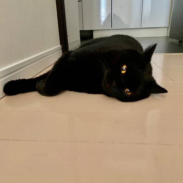 1457acd1 f7fc 4050 aa98 4cb0383aae63 1600816715528