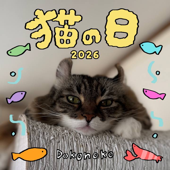 1457bdab 62d9 45ba a349 5c43d9362371 1771774250054