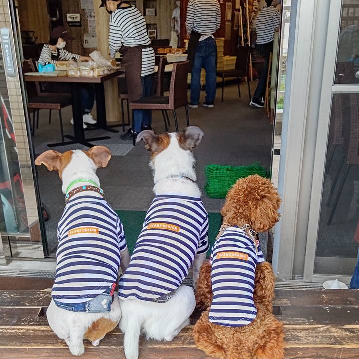 1457f7e3 ef89 483d 8863 8eb788c7ae48 1664417867246