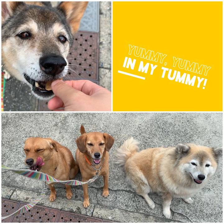 1457f980 44ff 4516 a7a7 7c77f6284f32 1562808560885