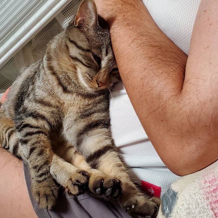 1457fb7e bd25 47cb 9dcf 2b9f9f1f61d6 1696342290655