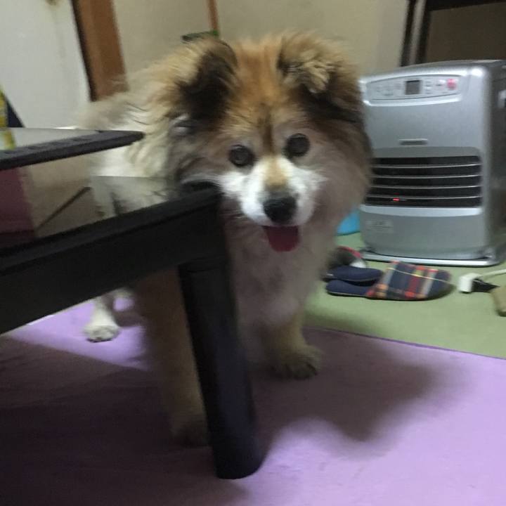 14582fb8 e5bb 49e0 9424 0ab69cedc160 1557654162857