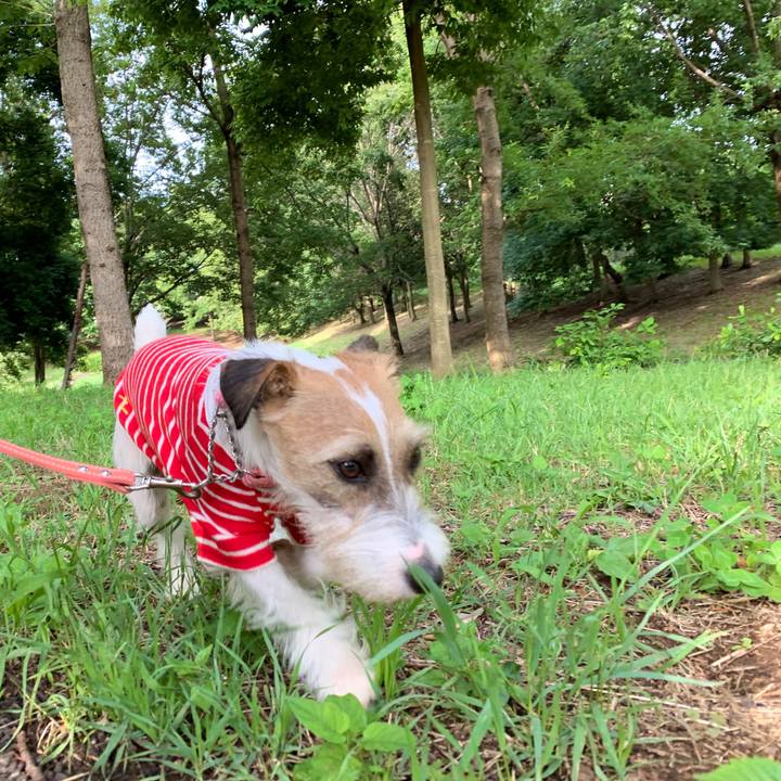 1458384b 53e7 4b38 a0af aaefb5ae310a 1592903126214