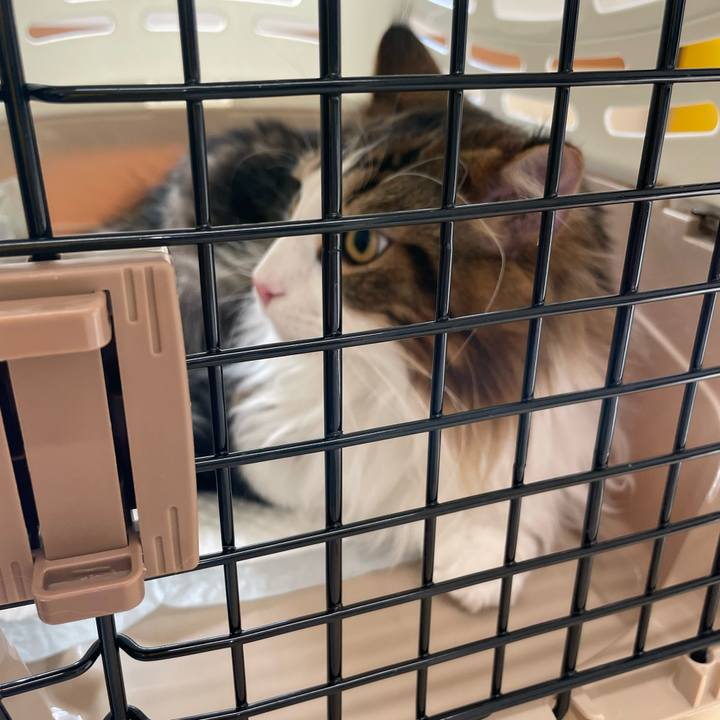 14588cec f897 43de b955 bb62abf19695 1644804410861